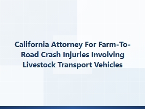 California Attorney for Farm-to-Road Livestock Crash Injuries
