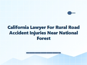California Lawyer for Rural Road Accidents Near National Forest